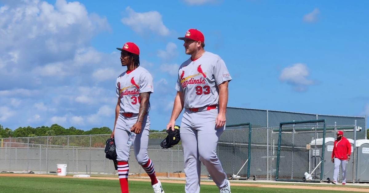 After recent seasons hampered by injury, Cardinals prospect Tink Hence sees "a starter" in himself. He'll look to prove he can carry the role.