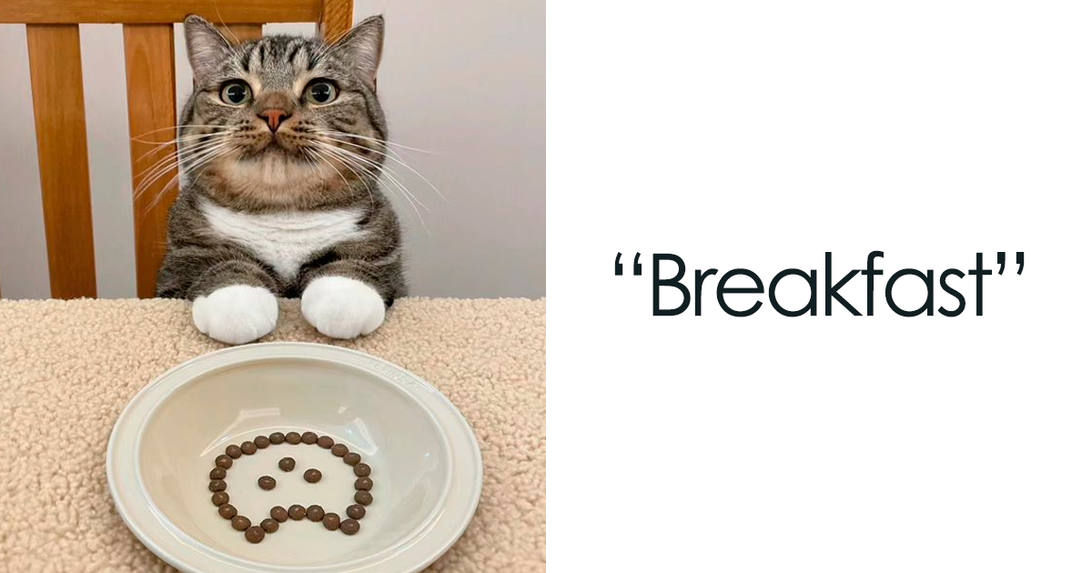 We believe every cat photo is a mix of cuteness, mischief, and grace that can turn any ordinary day into one filled with joy and laughter. Whether they're caught in a fun moment while playing or their curious side is on display, snapshots of feline creatures …