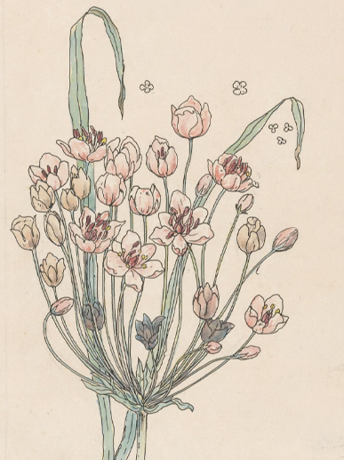 This is very Alpha stages, but if this is the kind of thing you would use I would love feedback on the features you'd need to make it useful.I originally built this to keep track of my rose garden (with currently 150 roses and counting, which are where) and m…