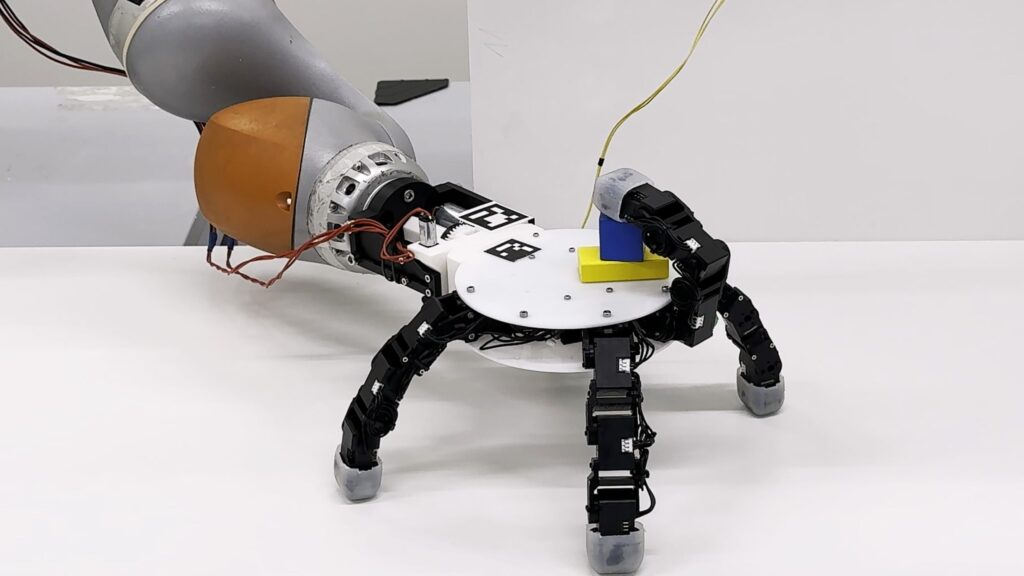 2025 LASA/CREATE/EPFL CC BY SA. By Celia Luterbacher With its opposable thumb, multiple joints and gripping skin, human hands are often considered to be the pinnacle of dexterity, and many robotic hands are designed in their image. But having been shaped by t…