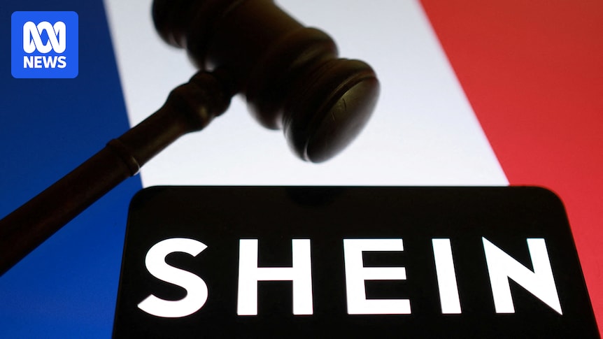 Shein is at the centre of a legal battle with France after investigations found childlike sex dolls were sold on its website.