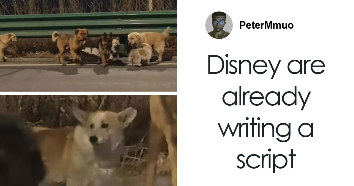 "This deserves a movie, I don't care if it is animated or not."