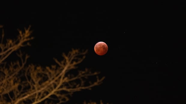 Some New Brunswickers will have a chance at seeing part of a lunar eclipse on Tuesday morning. Amateur astronomer C.J. Bernard says New Brunswick will still get the "blood moon" effect, even though totality will not be visible in the province.