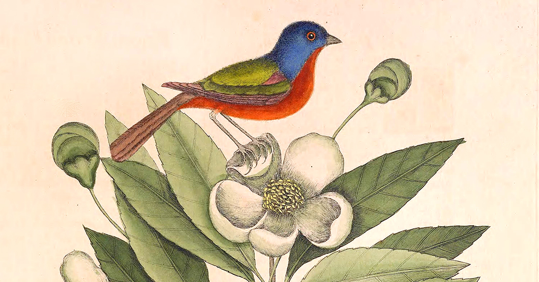 "We can change, evolve, and transform our own conditioning. We can choose to move like water rather than be molded like clay."