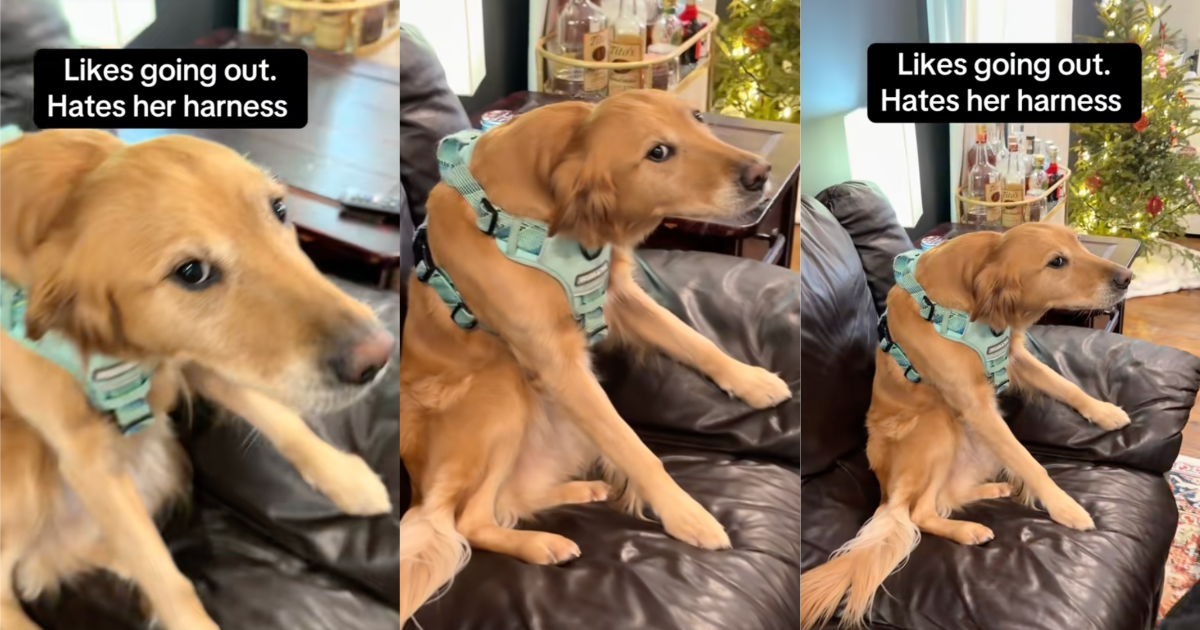 Gee, tell us how you really feel...