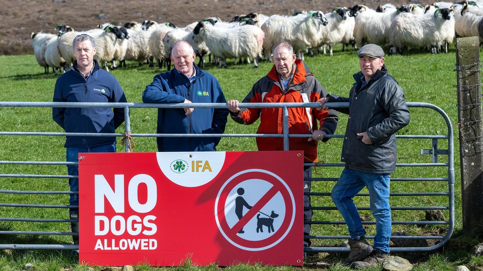The Irish Farmers Association is calling for stronger regulations and stricter enforcement around dog control.