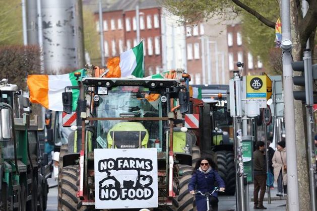 Garda cleared protesters from O’Connell Street in Dublin during an early hours operation involving the public order unit, mounted unit and water unit.