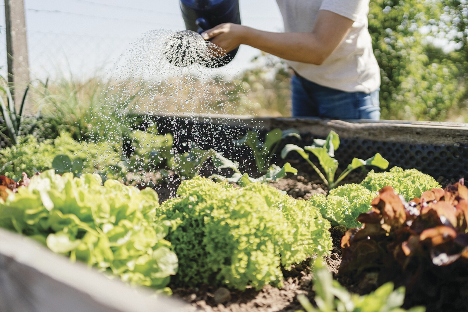 Gardening also helps a person connect to the current moment and not be caught up in their mind.
