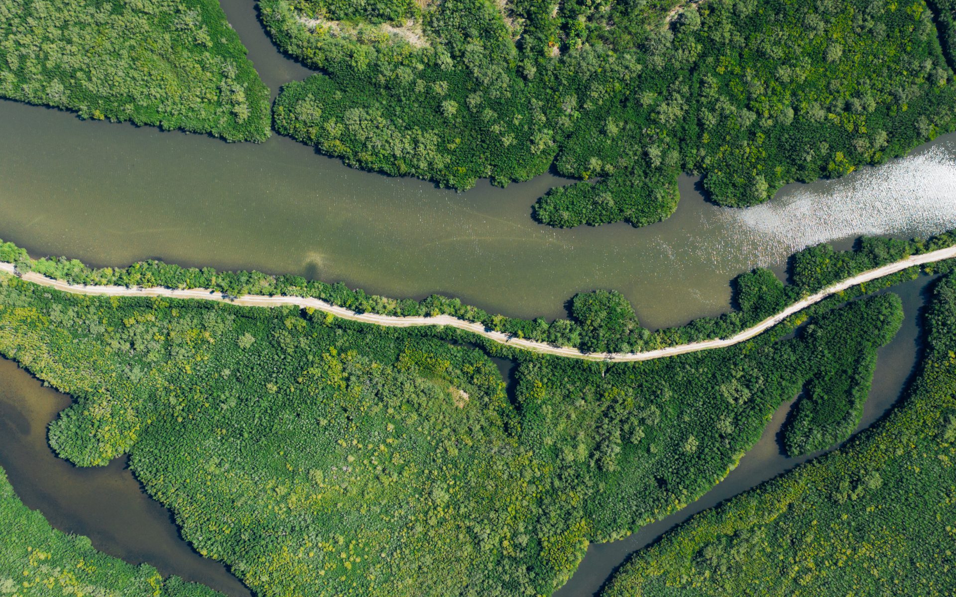 This might be a very 2026 thing to announce, but Brazil’s Legal Amazon just got its first brand identity. And it was co-created by nine local artists from its nine river states.
The post You can now write with a typeface that was designed by humans and shaped…