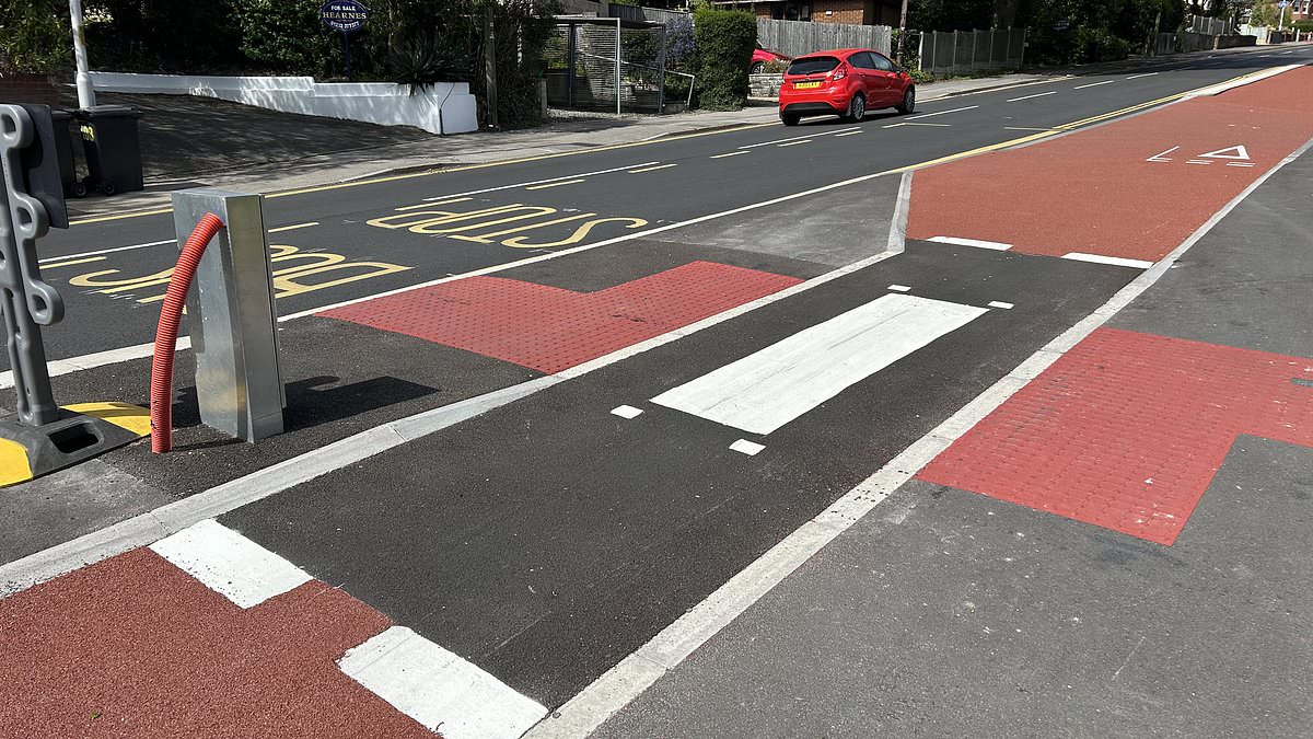 The bizarre road markings are only one or two stripes across the controversial, expensive cycle path lead to a floating bus stop.