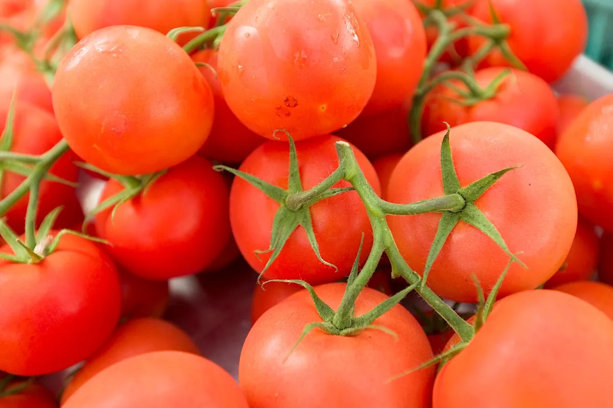 'I’d like to see someone buy this who appreciates selling one-of-a-kind items and the things that you just can’t buy online,' owner Gene Annacone said.