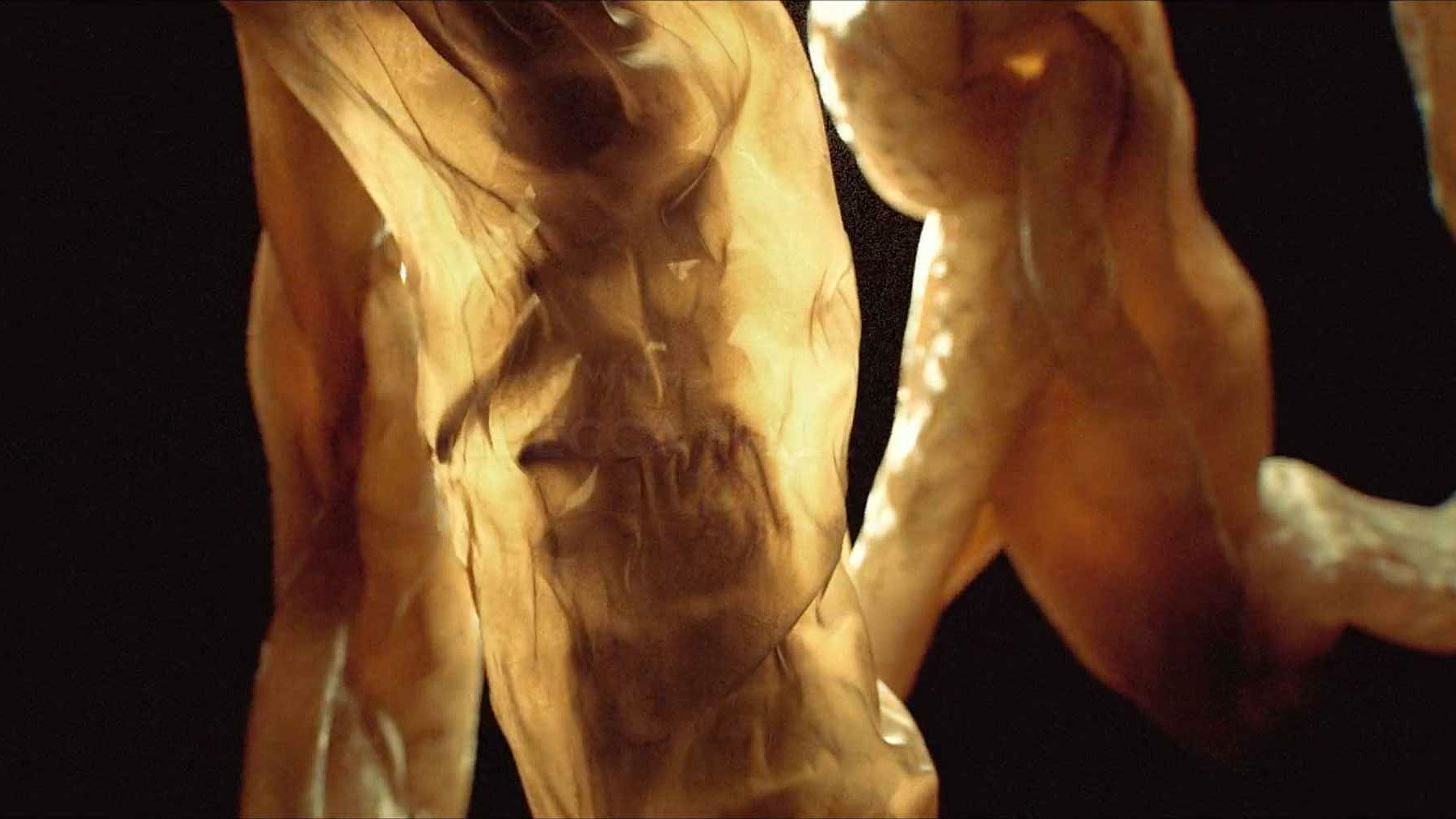 FX's new sci-fi body-horror series The Beauty opens with this unnerving CG sequence, designed by Kyle Cooper and the Prologue team to reflect the "visceral transformations" at the core of the show's narrative. [Watch]
The post Kyle Cooper & Prologue Explore D…