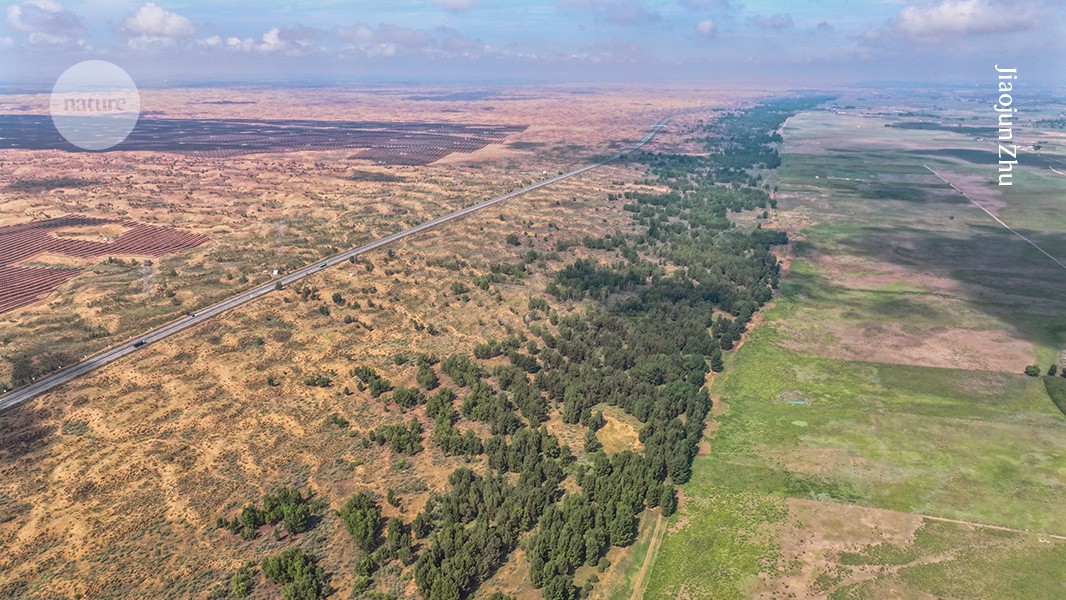 Grand anti-desertification schemes often fail when trees die and funding dries up — yet one project has broken the mould.