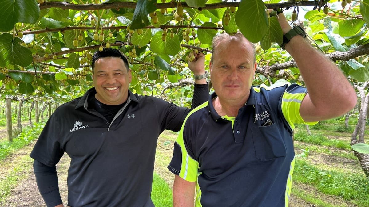 The business operates across 14 titles and produces both gold and green kiwifruit.