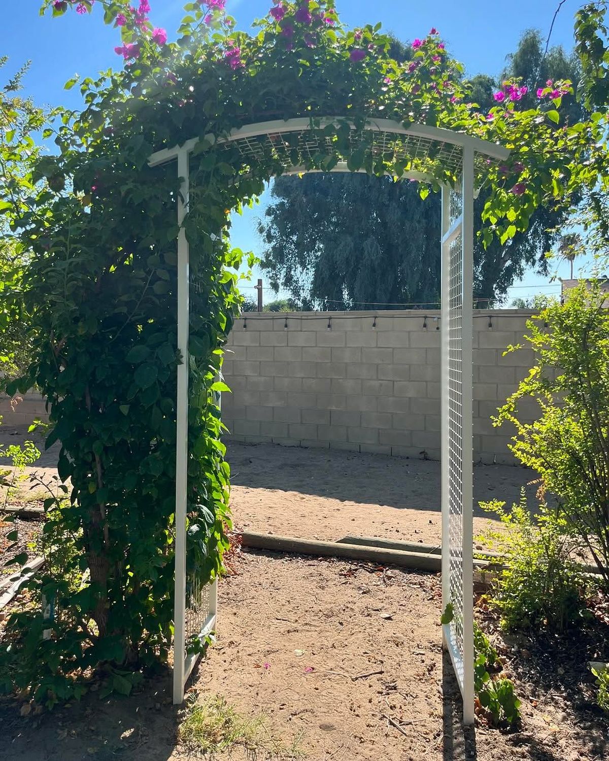 Garden structures are starting to do more than support plants. In 2026, arches, trellises, and framed entries are shaping how outdoor spaces are experienced from the first step inside. Instead of being decorative add-ons, they are becoming the elements that o…