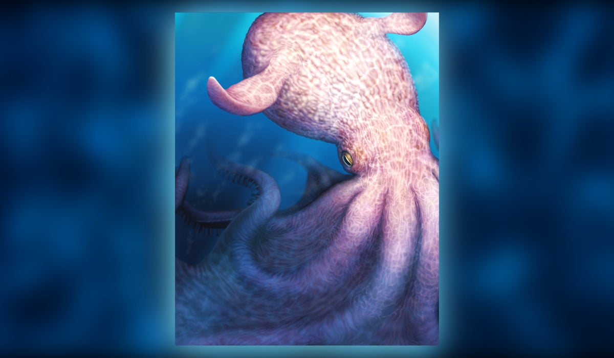 Fossil jaws from colossal octopuses place them at the top of a prehistoric marine food chain