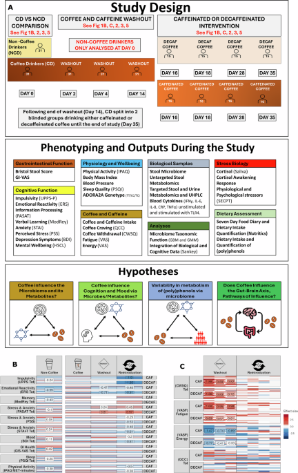 Here, the authors investigate coffee’s impact on the microbiota–gut–brain axis and assess whether these effects occur independently of caffeine in healthy participants from two clinical trials.