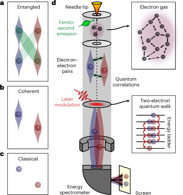 Entanglement between particles offers insights into quantum behaviour, but methods for studying it in free-electron systems are lacking. Now a two-electron quantum walk is used to probe decoherence of free electrons inside an electron microscope.