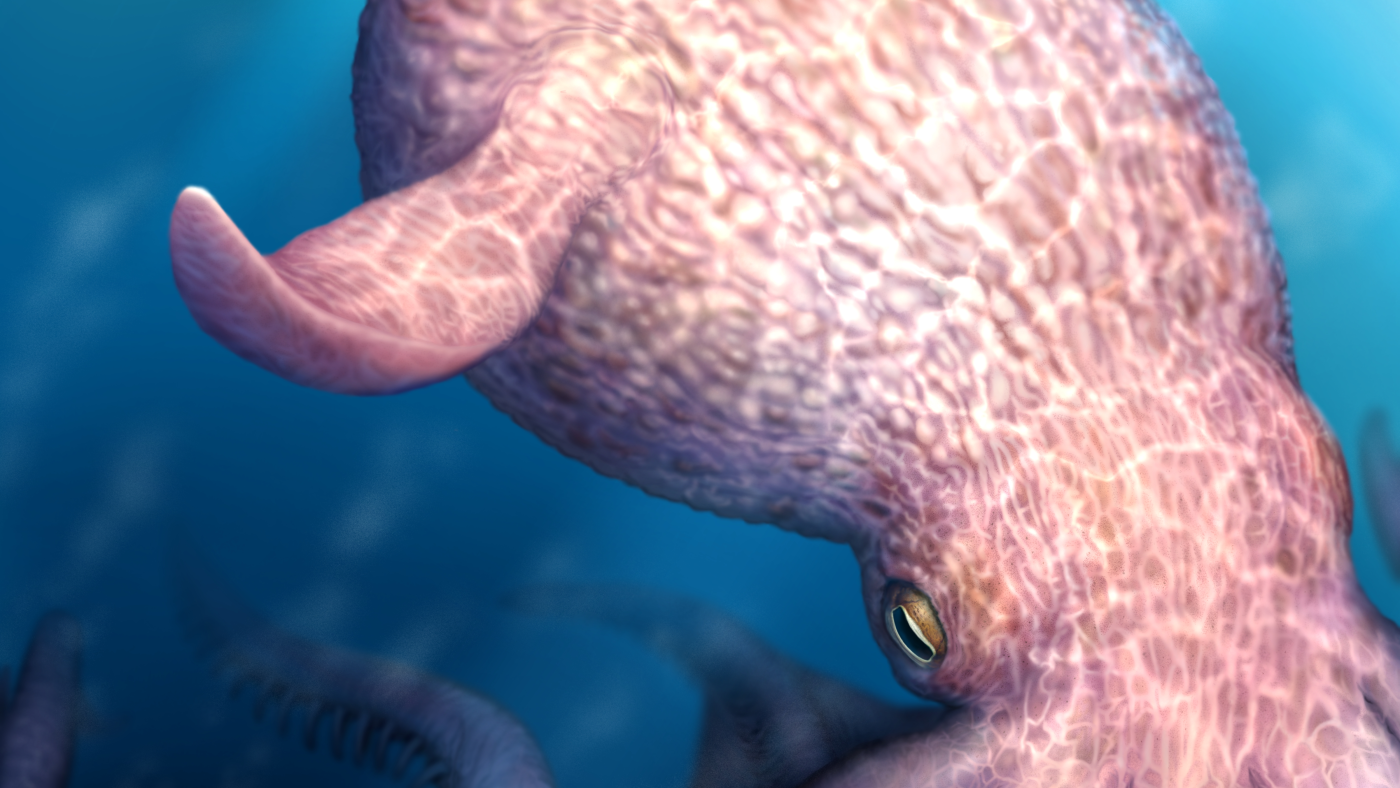 Researchers discovered evidence of enormous Kraken-like creatures who hunted in the seas some 100 million years ago, competing with large apex predators.