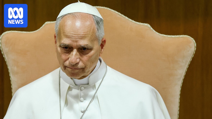 Pope Leo XIV urges global governments to slow down the development of AI systems and their disruptive effects.