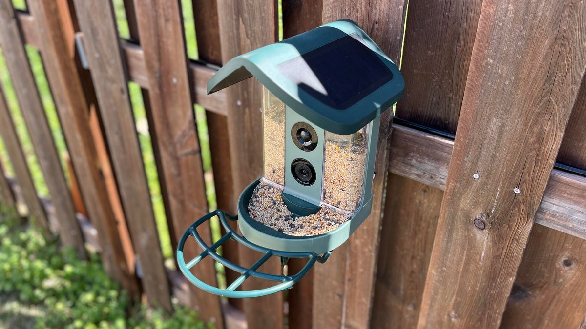 These smart bird feeders can identify birds, send alerts to your phone and keep you entertained for hours.