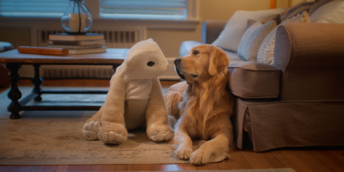 Roomba creator Colin Angle's Familiar Machines debuted a cuddly, pet-like robot for companionship, focusing on AI-driven emotional support.