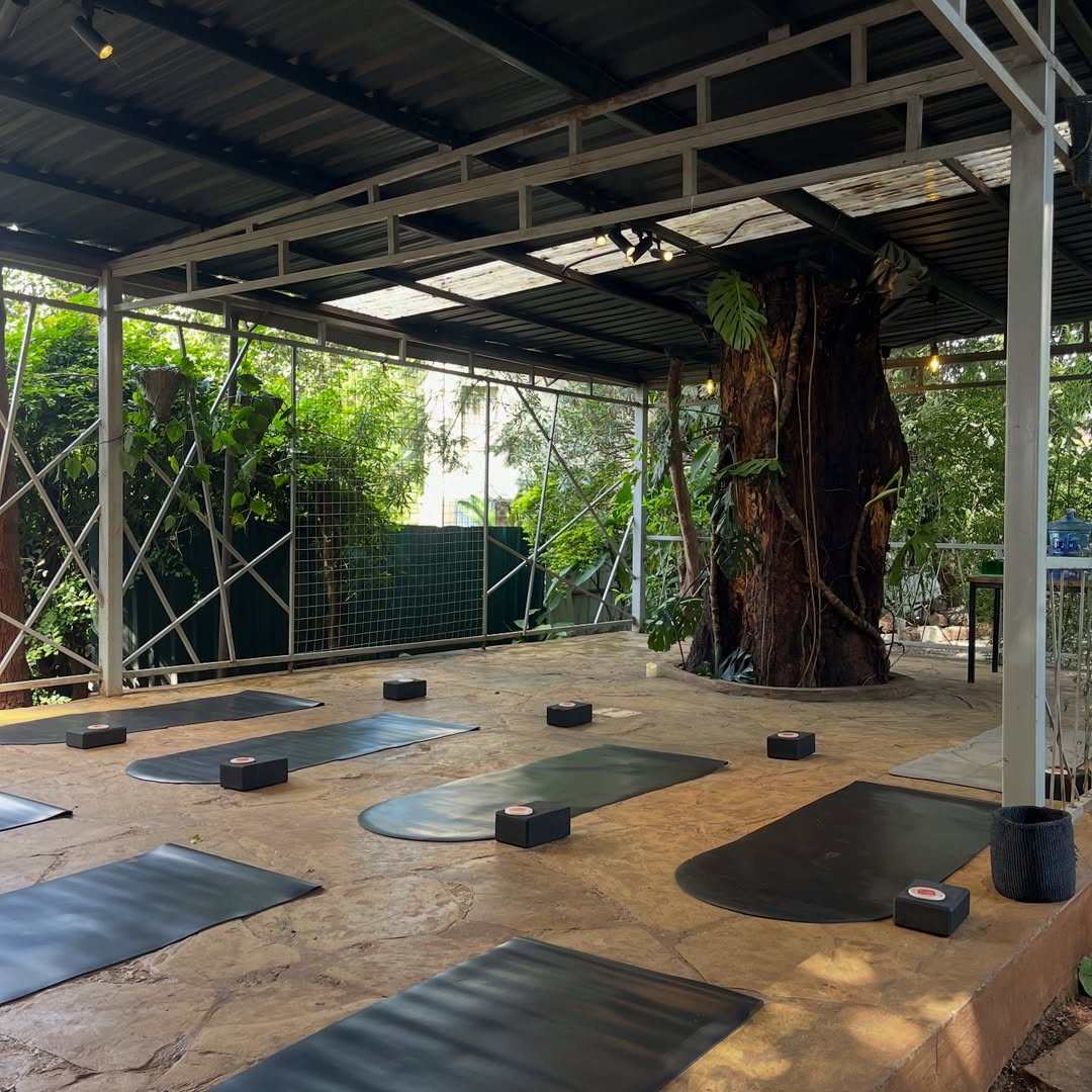 Looking to carve out a peaceful corner where you can stretch, breathe, and unwind? These 28 garden yoga space ideas are calming, natural, and thoughtfully designed, perfect for creating an outdoor sanctuary that supports relaxation, focus, and mindful living.…