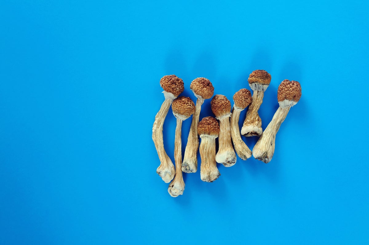 A survey found that more than 60 percent of respondents “strongly support” making psychedelics easier to study, reflecting a growing consensus that some could have therapeutic use