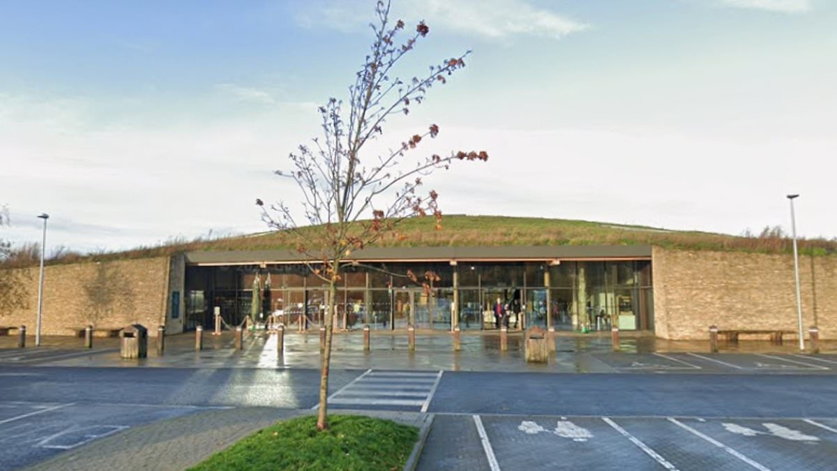 From farm shops to dog walking areas, these are the top 20 service stations across the country.