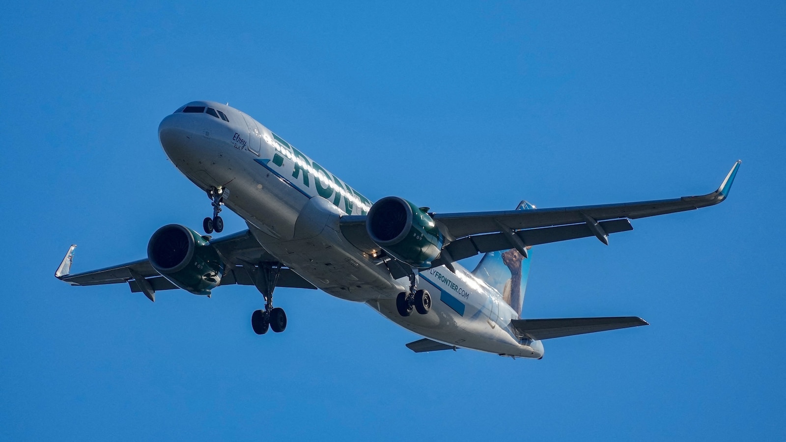 A Frontier Airlines flight taking off for Los Angeles from Denver International Airport on Friday night appeared to strike an individual walking on runway 17L.