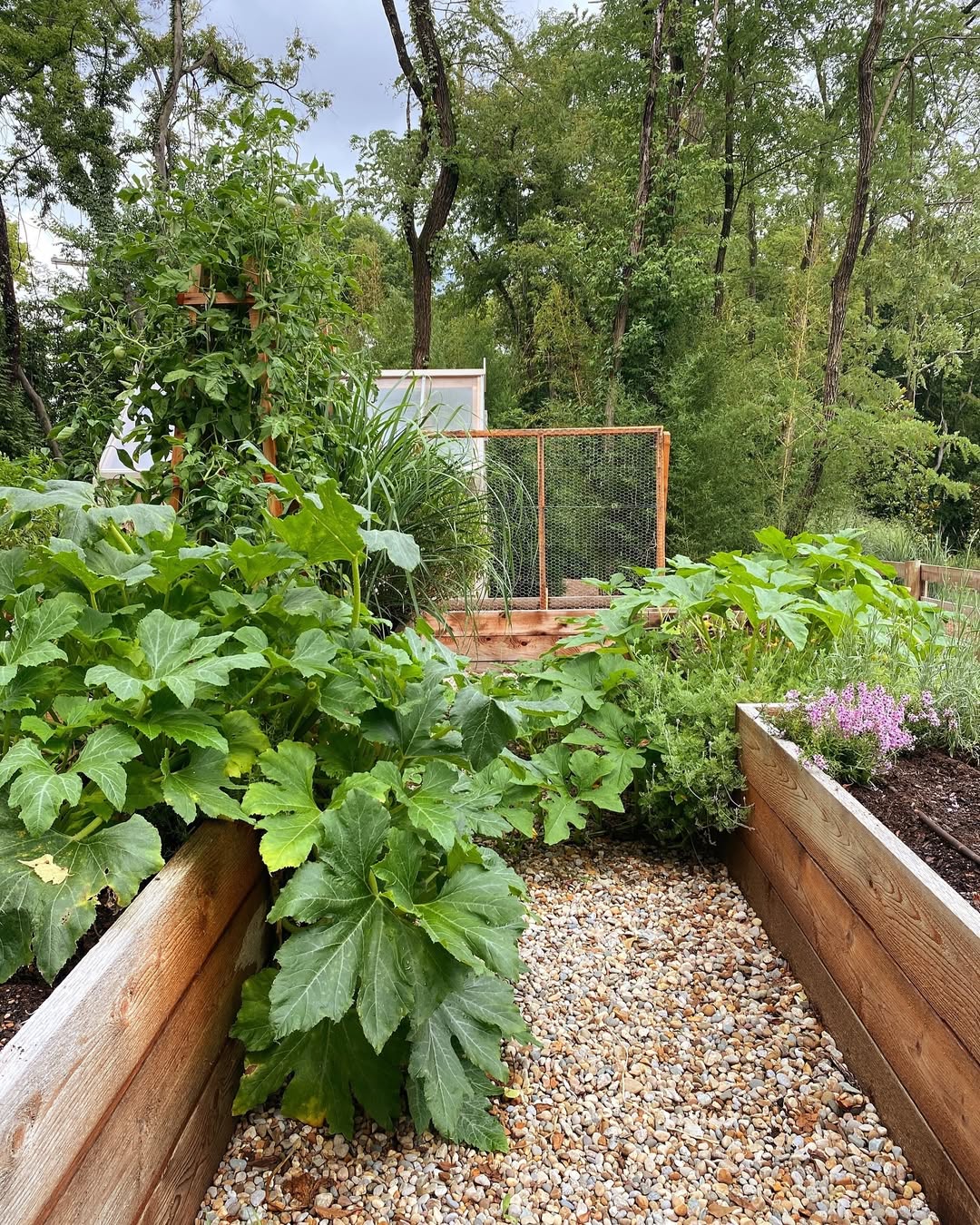 Looking to turn your backyard into a peaceful, plant filled retreat? These 27 garden trellis ideas are elegant, space saving, and naturally beautiful, perfect for supporting climbing plants while adding structure, charm, and a serene touch to your outdoor san…