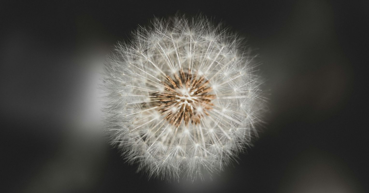 If you are unusually sensitive, don't despair—your sensitivity brings great gifts as well as challenges.
