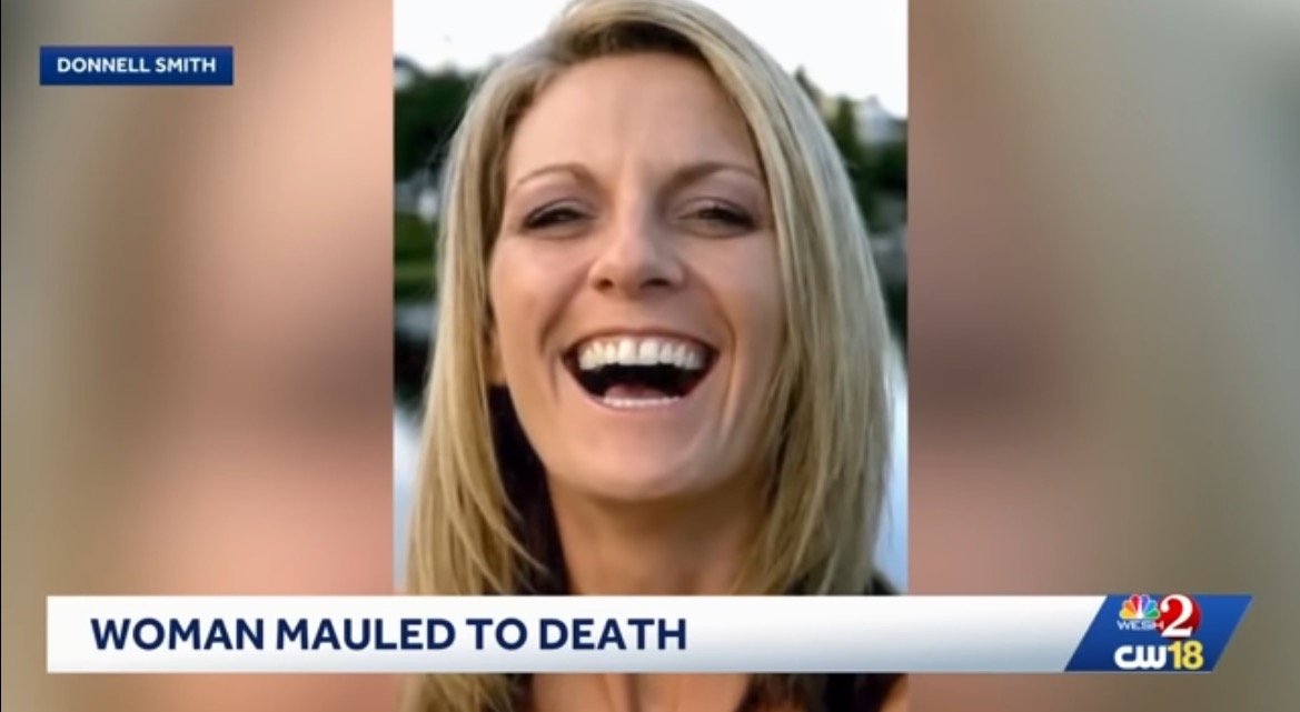 A 50-year-old Florida woman was mauled to death by two pitbulls who had already bitten other people and were known for terrorizing the neighborhood.
The post HORROR: Florida Woman Mauled to Death by Two Pitbulls – Dogs Drag Her Body Down the Street appeared f…