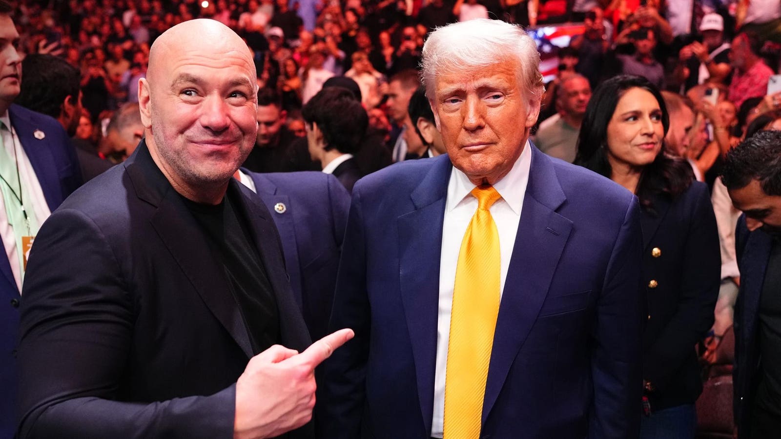 The UFC’s CEO says there’s “nothing transactional” about his friendship with Donald Trump, but it’s the only reason an MMA spectacle will be held on the South Lawn on the president’s birthday.