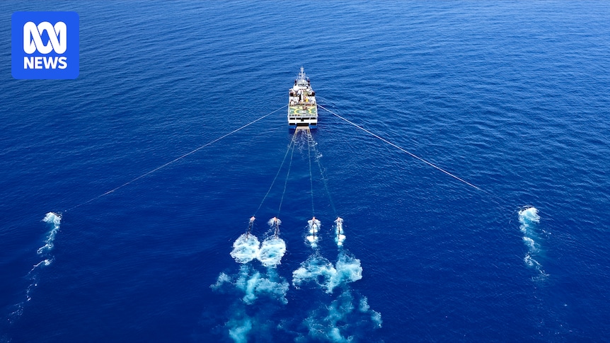 New research links seismic testing used for oil and gas exploration with decreases in commercial fish catch rates in Victoria's east.