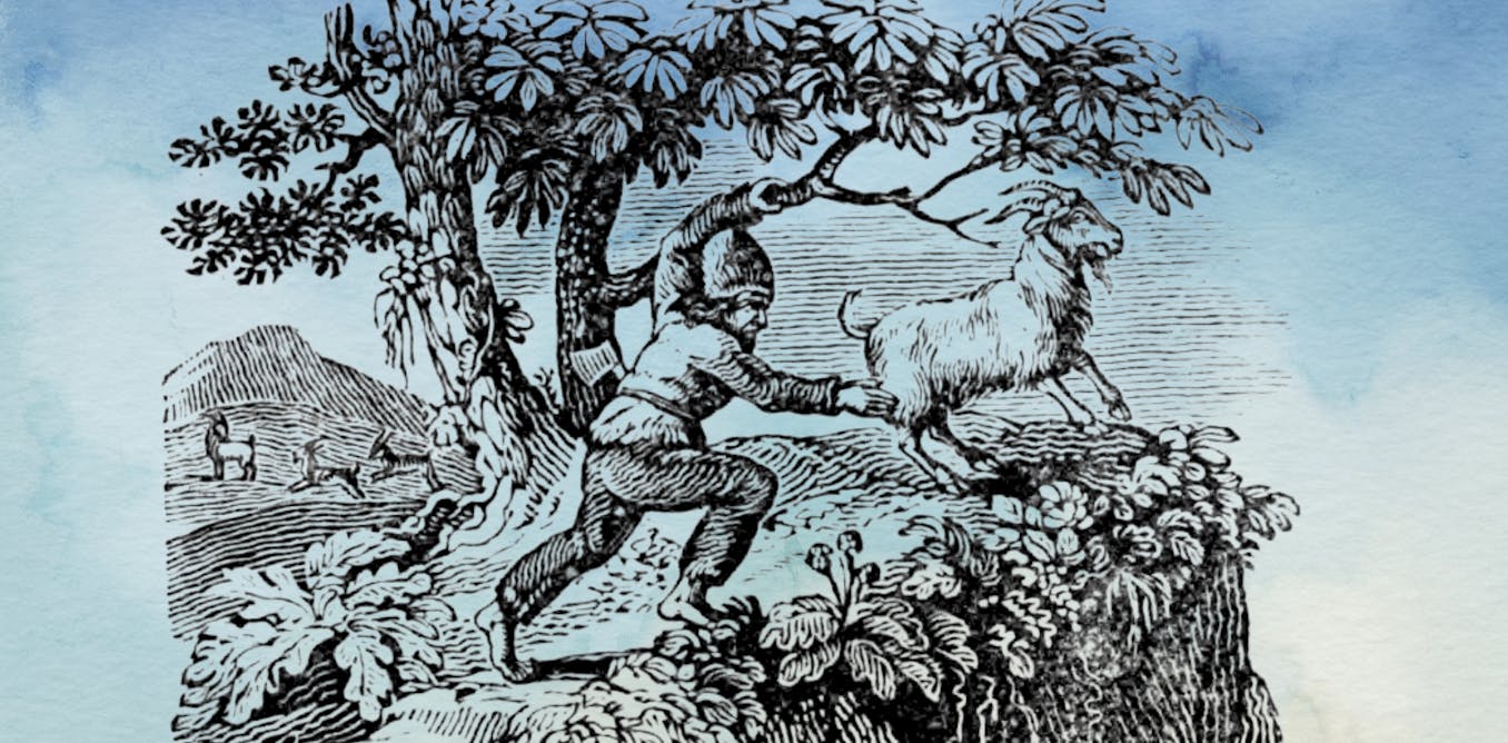 Francesca de Tores’ Cast Away or, the Surprising Adventures of Alexander Selkirk is a timely consideration of human resilience and resourcefulness.