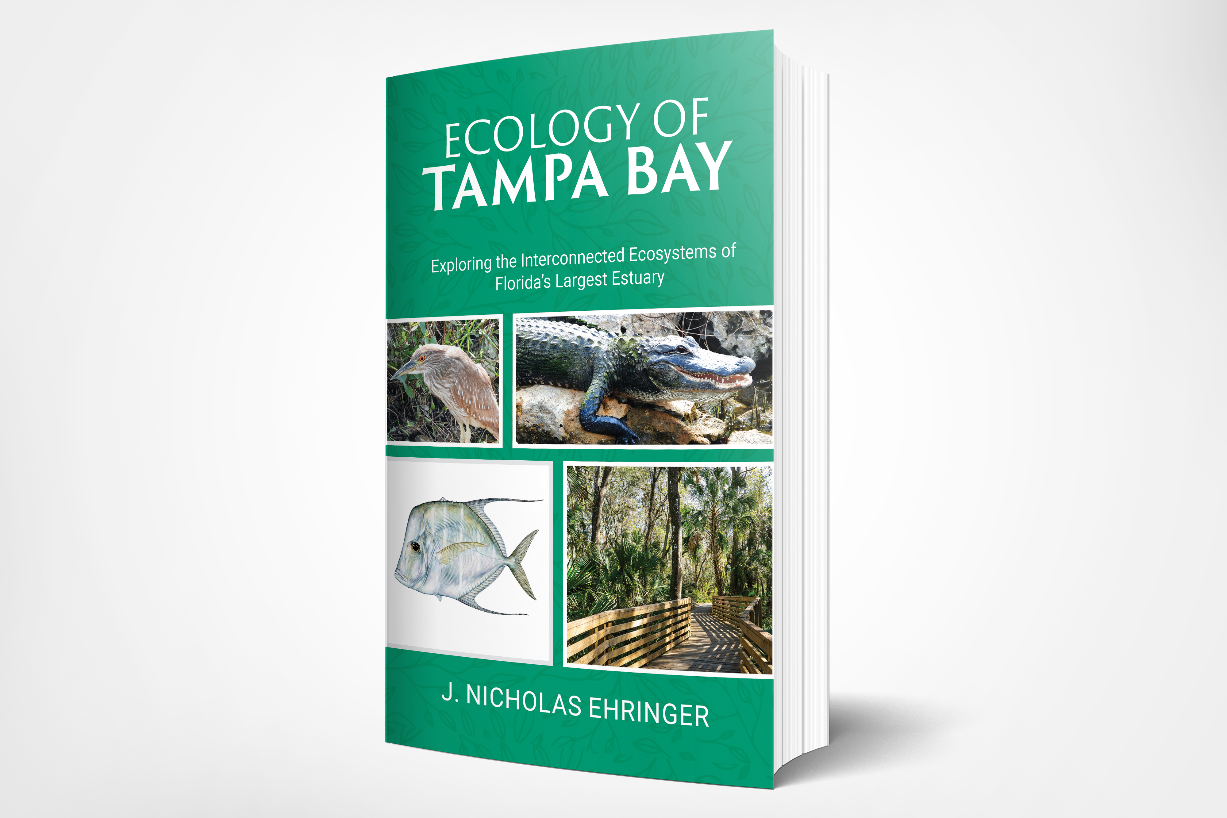 Newly published by Palmetto Publishing, the book explores the geology, marine biology, and conservation science behind Florida's largest open-water estuary spanning more than 400 square miles. Newly published by Palmetto Publishing, the book explores the geol…