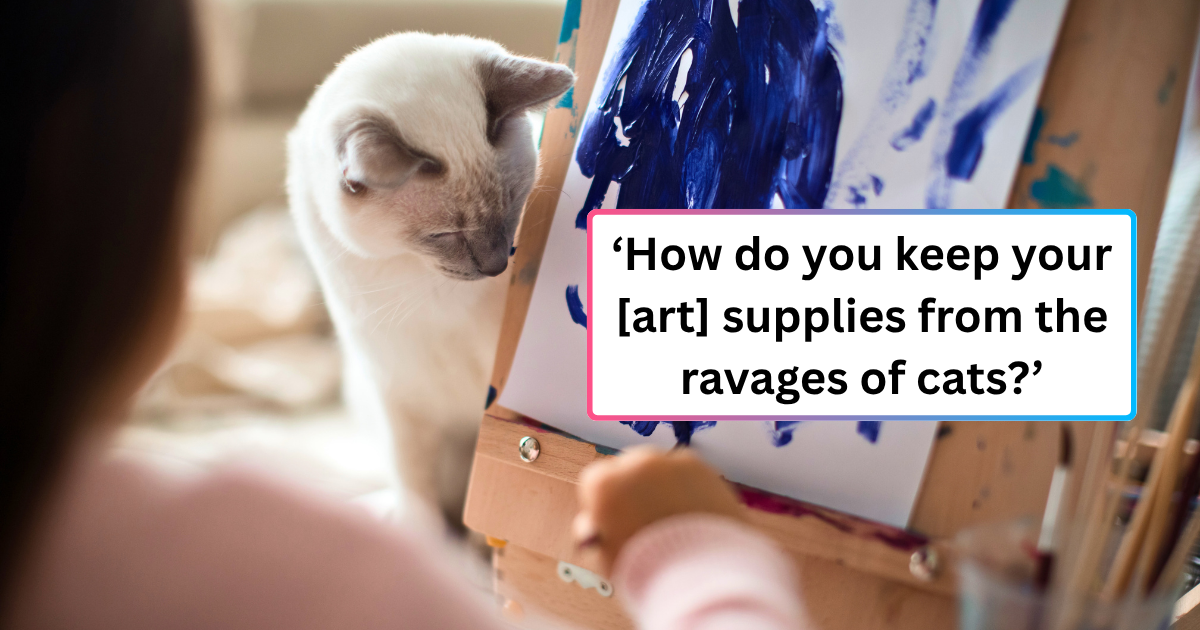 The life of an artist is hard enough, but the life of an artist cat parent is even harder.
You don't know to what extent people have to go just to have a cat live at home with them. People think having a cat is easy, because they're "independent" or somethin…